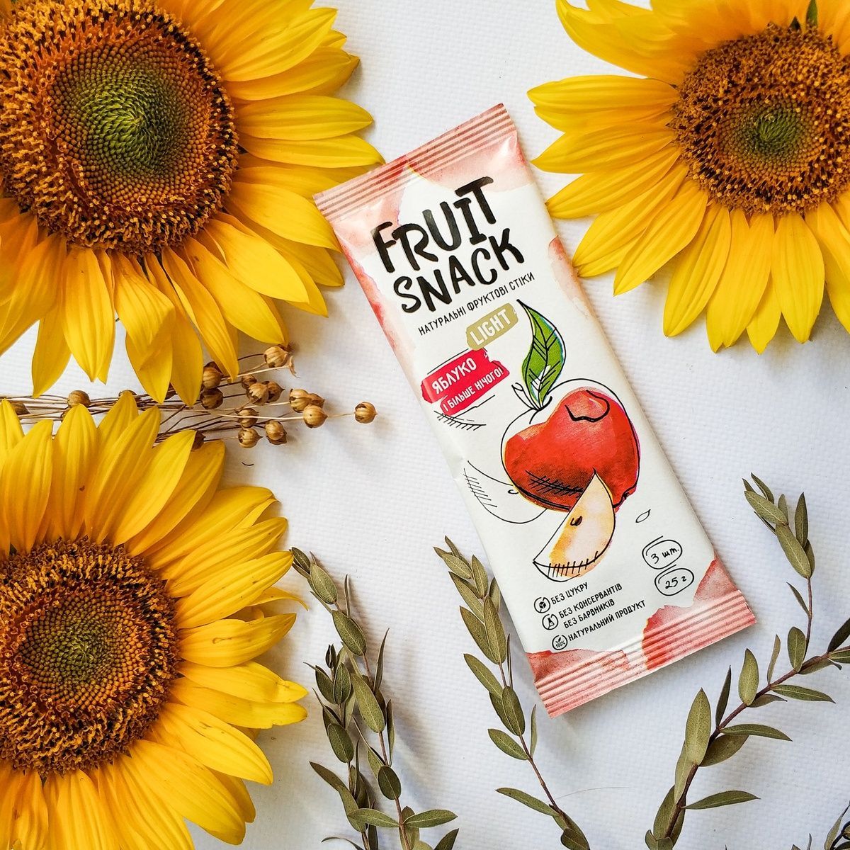 Фруктові снеки FRUIT SNACK - LIGHT (25 г) FS-09002 фото